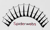 Red Cherry Spider lashes provides eye opening dramatic weblike lash look.